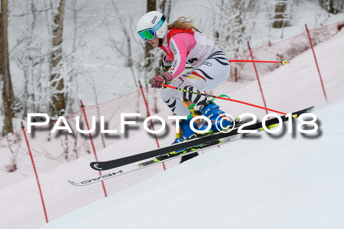 FIS RiesenslalomDamen Lenggries 2.2.2018