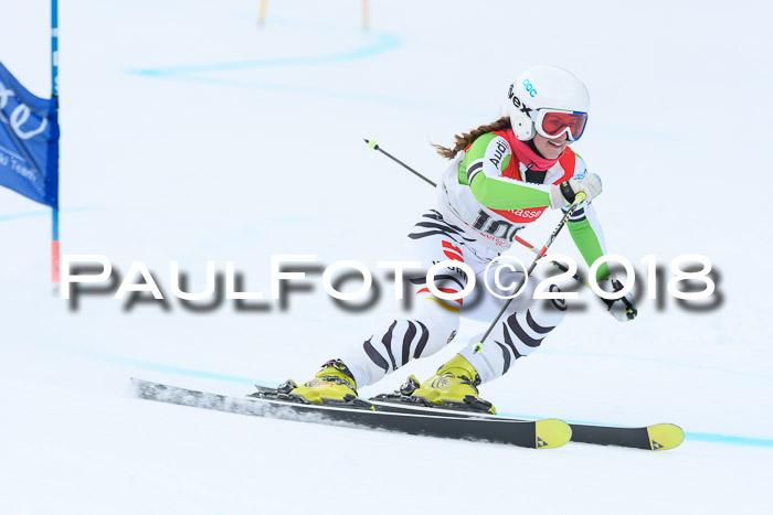 FIS RiesenslalomDamen Lenggries 2.2.2018