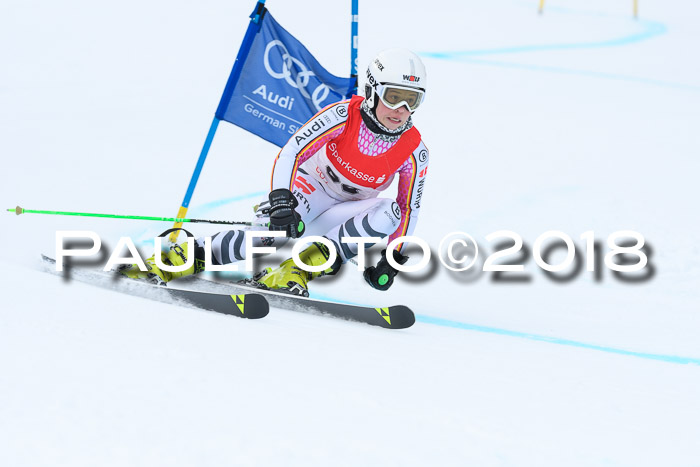 FIS RiesenslalomDamen Lenggries 2.2.2018