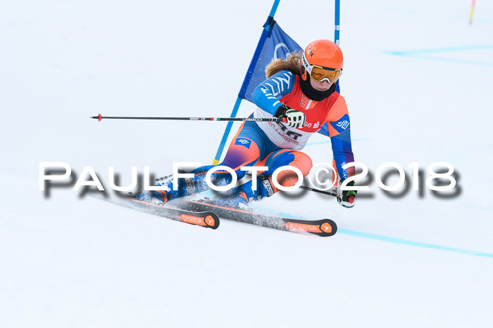 FIS RiesenslalomDamen Lenggries 2.2.2018
