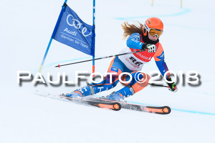 FIS RiesenslalomDamen Lenggries 2.2.2018