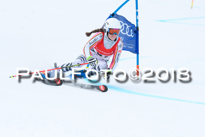FIS RiesenslalomDamen Lenggries 2.2.2018