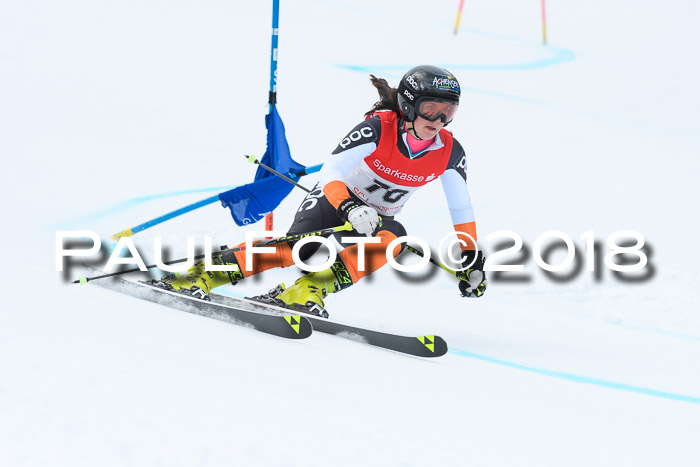 FIS RiesenslalomDamen Lenggries 2.2.2018