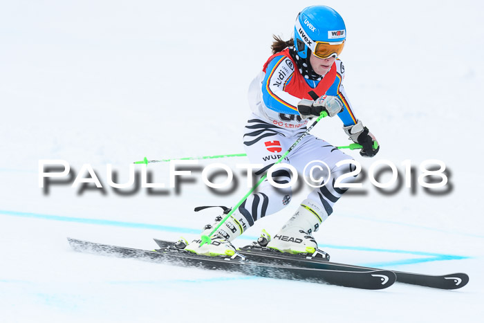 FIS RiesenslalomDamen Lenggries 2.2.2018