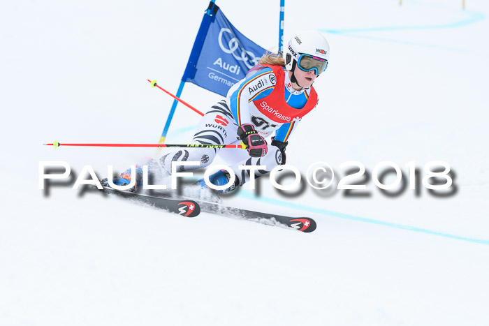 FIS RiesenslalomDamen Lenggries 2.2.2018