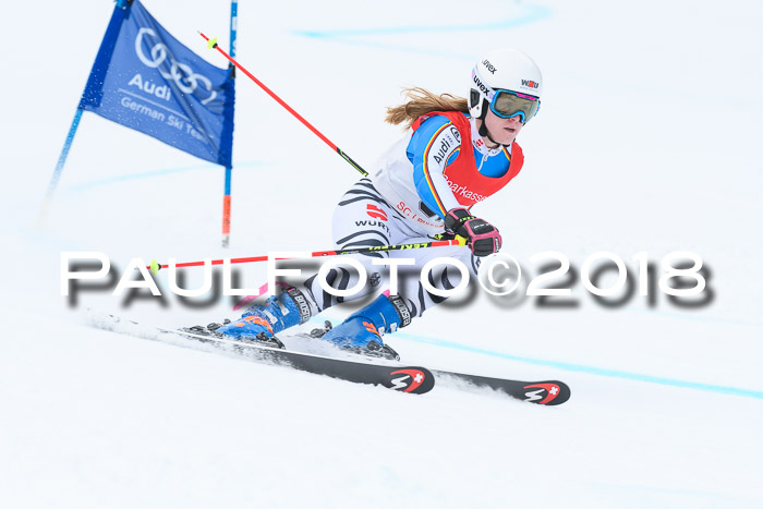 FIS RiesenslalomDamen Lenggries 2.2.2018