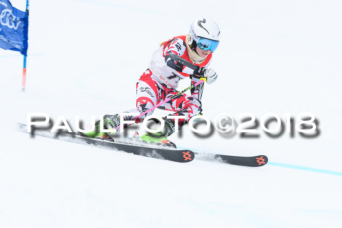 FIS RiesenslalomDamen Lenggries 2.2.2018