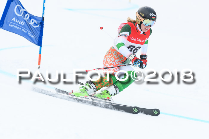 FIS RiesenslalomDamen Lenggries 2.2.2018