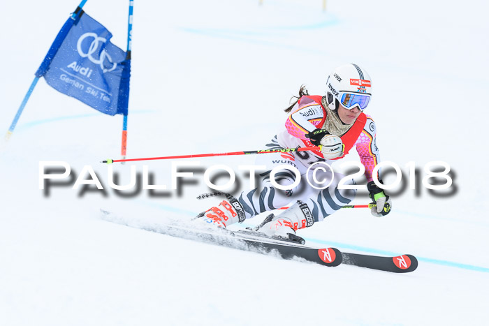 FIS RiesenslalomDamen Lenggries 2.2.2018