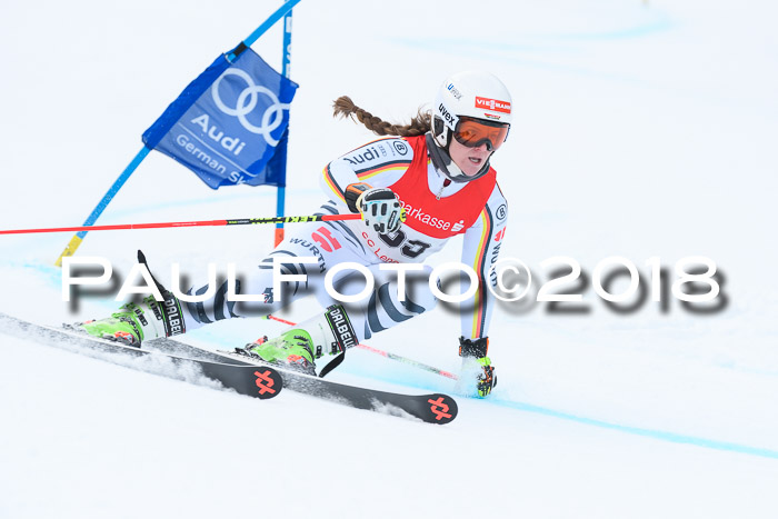 FIS RiesenslalomDamen Lenggries 2.2.2018