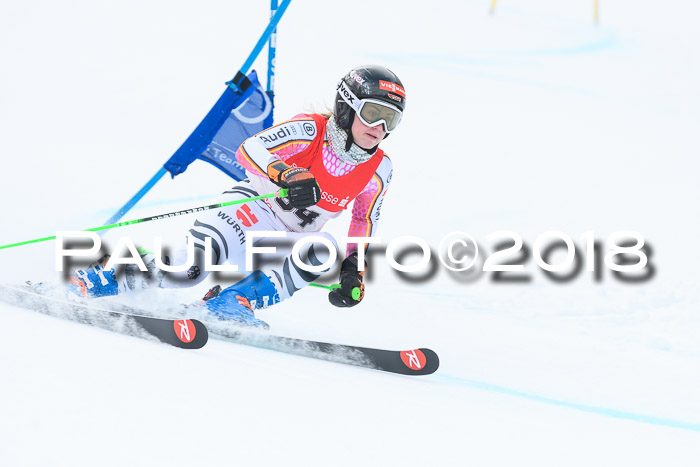 FIS RiesenslalomDamen Lenggries 2.2.2018