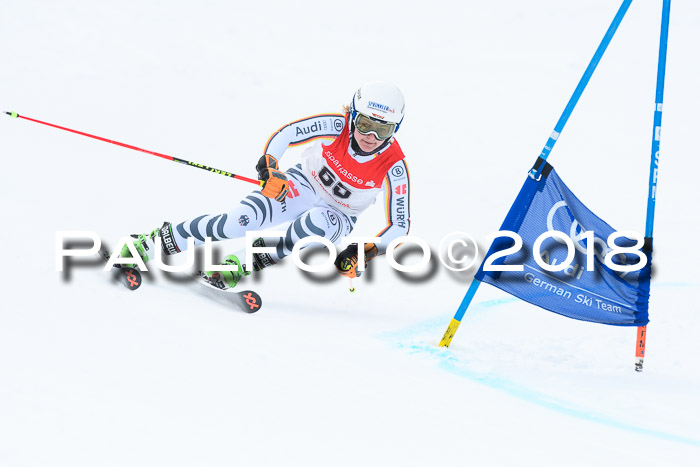 FIS RiesenslalomDamen Lenggries 2.2.2018