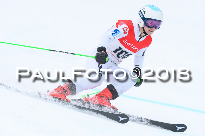 FIS RiesenslalomDamen Lenggries 2.2.2018