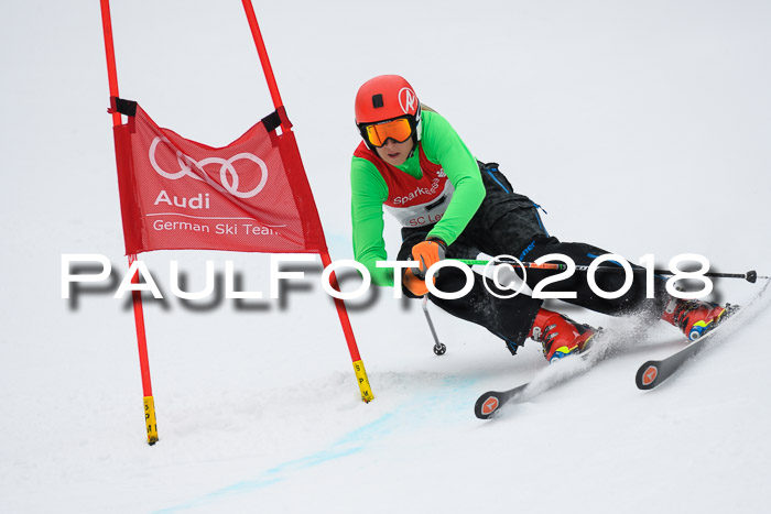 FIS NJR Riesenslalom Herren Lenggries 2.2.2018