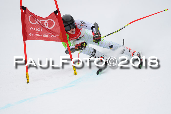 FIS NJR Riesenslalom Herren Lenggries 2.2.2018