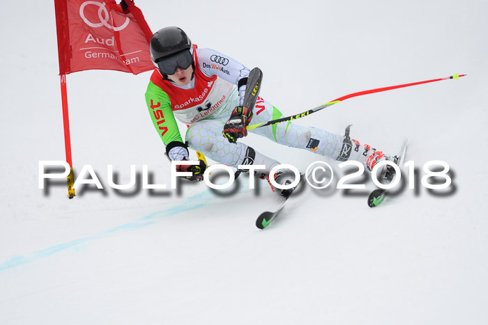 FIS NJR Riesenslalom Herren Lenggries 2.2.2018