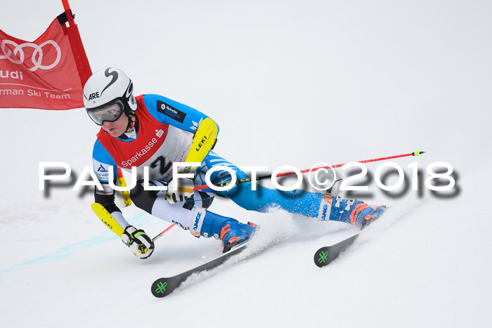 FIS NJR Riesenslalom Herren Lenggries 2.2.2018