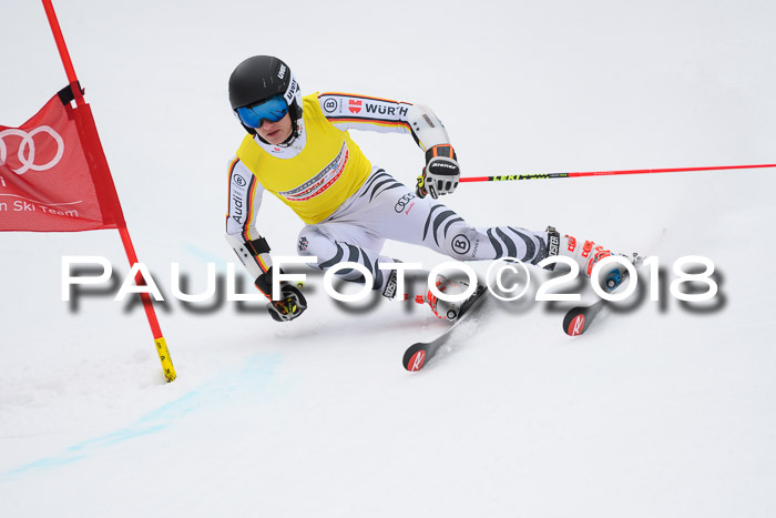 FIS NJR Riesenslalom Herren Lenggries 2.2.2018