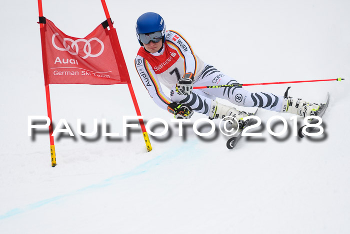 FIS NJR Riesenslalom Herren Lenggries 2.2.2018