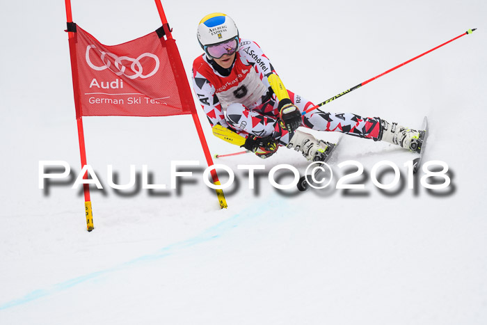 FIS NJR Riesenslalom Herren Lenggries 2.2.2018