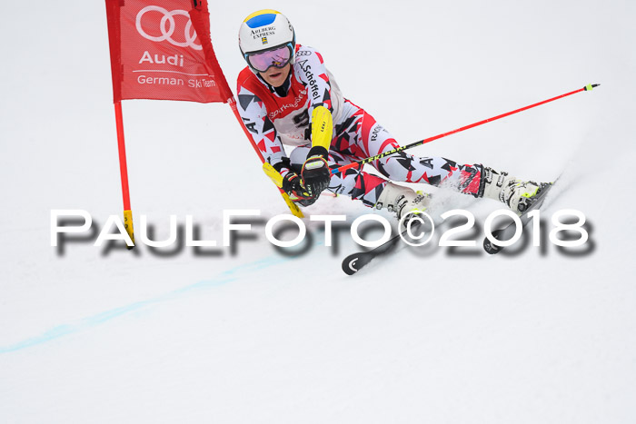 FIS NJR Riesenslalom Herren Lenggries 2.2.2018