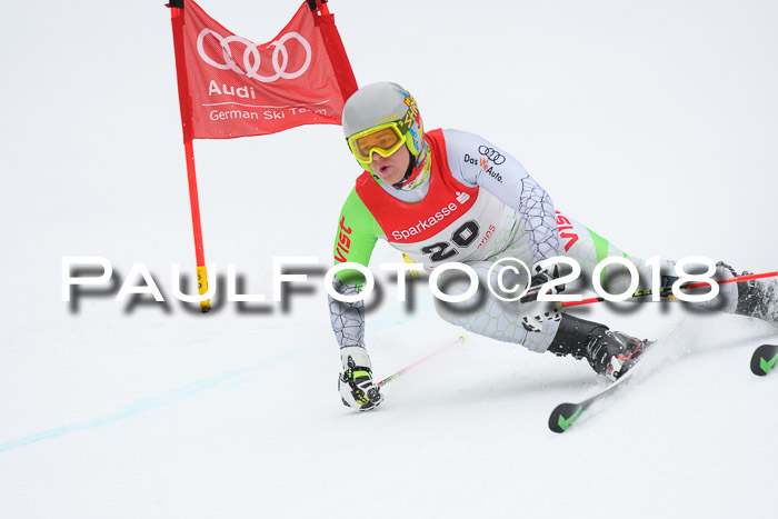 FIS NJR Riesenslalom Herren Lenggries 2.2.2018