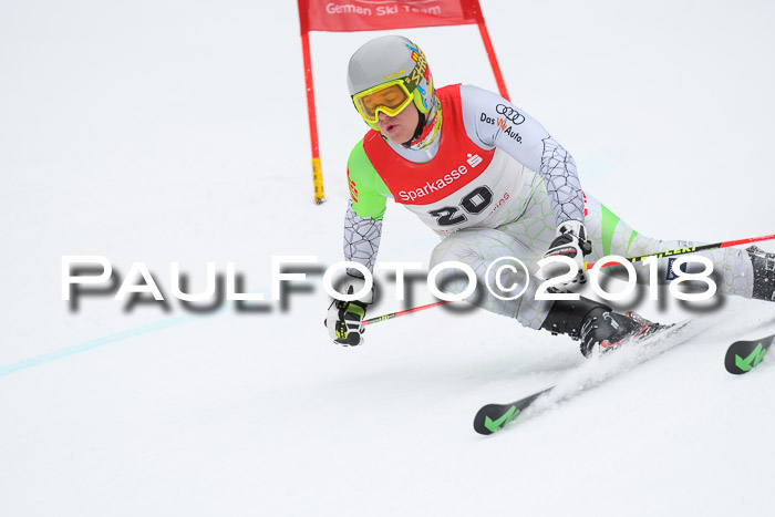 FIS NJR Riesenslalom Herren Lenggries 2.2.2018