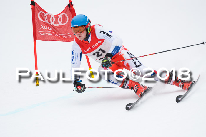 FIS NJR Riesenslalom Herren Lenggries 2.2.2018
