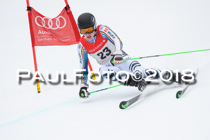 FIS NJR Riesenslalom Herren Lenggries 2.2.2018