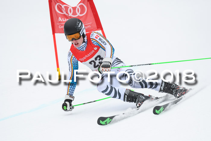 FIS NJR Riesenslalom Herren Lenggries 2.2.2018