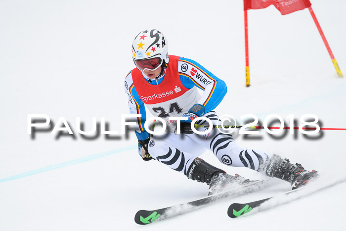 FIS NJR Riesenslalom Herren Lenggries 2.2.2018