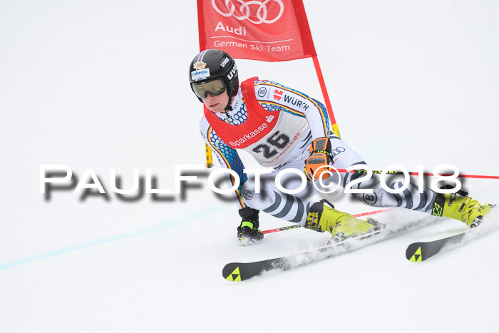 FIS NJR Riesenslalom Herren Lenggries 2.2.2018