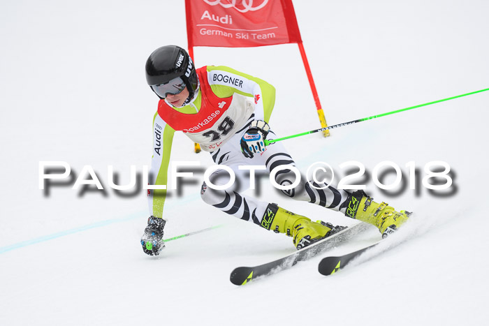 FIS NJR Riesenslalom Herren Lenggries 2.2.2018
