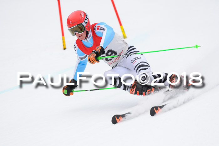 FIS NJR Riesenslalom Herren Lenggries 2.2.2018