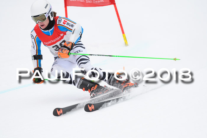 FIS NJR Riesenslalom Herren Lenggries 2.2.2018