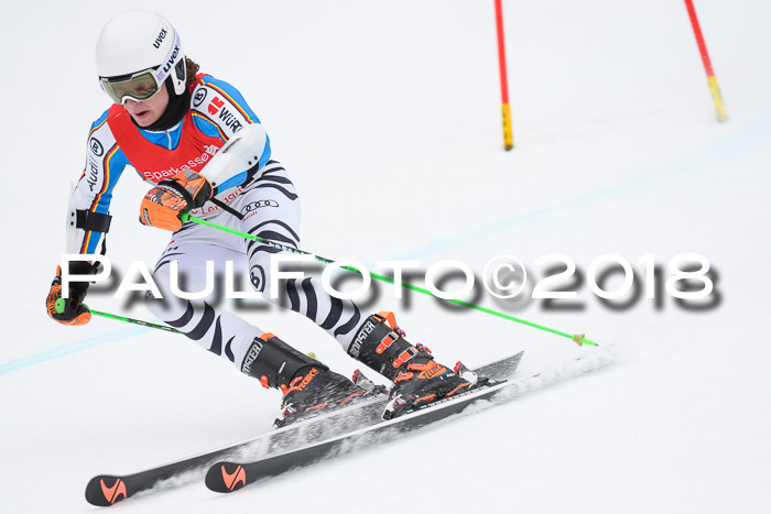 FIS NJR Riesenslalom Herren Lenggries 2.2.2018