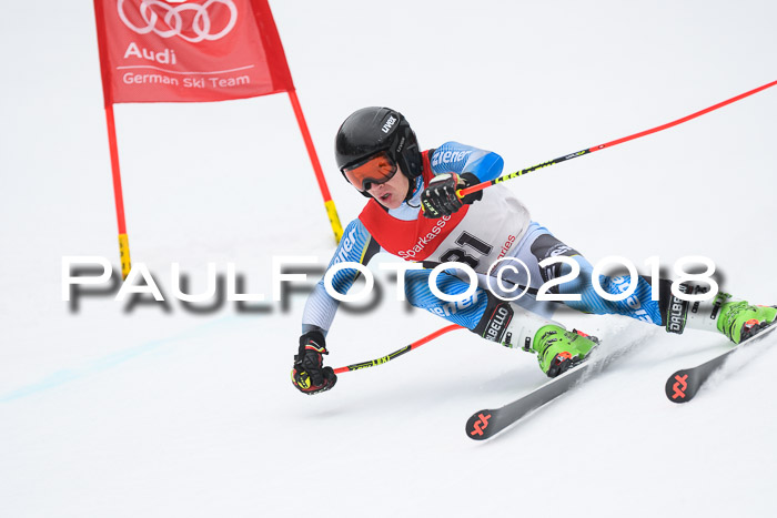 FIS NJR Riesenslalom Herren Lenggries 2.2.2018