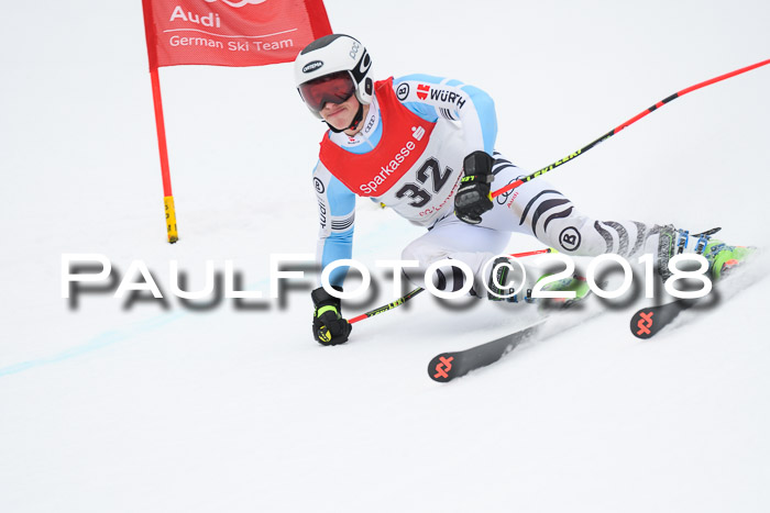 FIS NJR Riesenslalom Herren Lenggries 2.2.2018