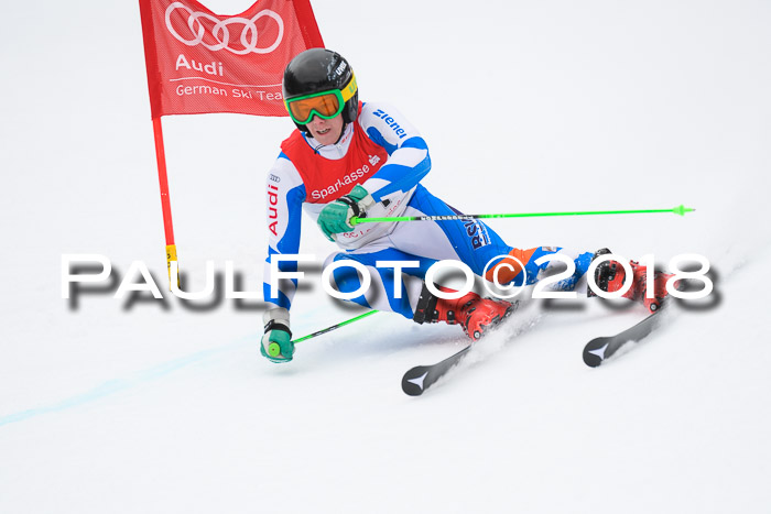 FIS NJR Riesenslalom Herren Lenggries 2.2.2018