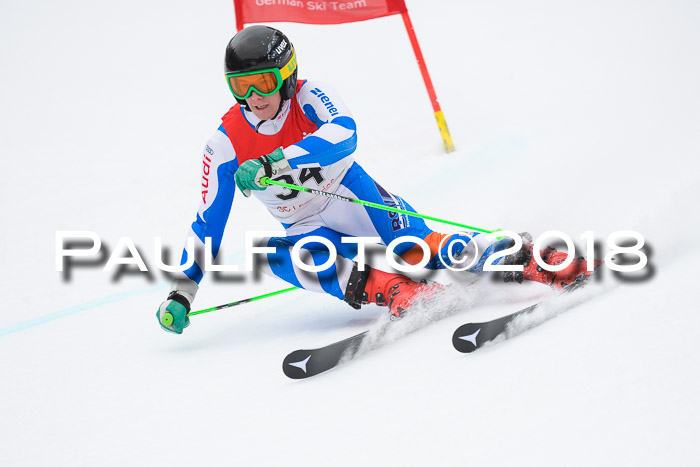 FIS NJR Riesenslalom Herren Lenggries 2.2.2018