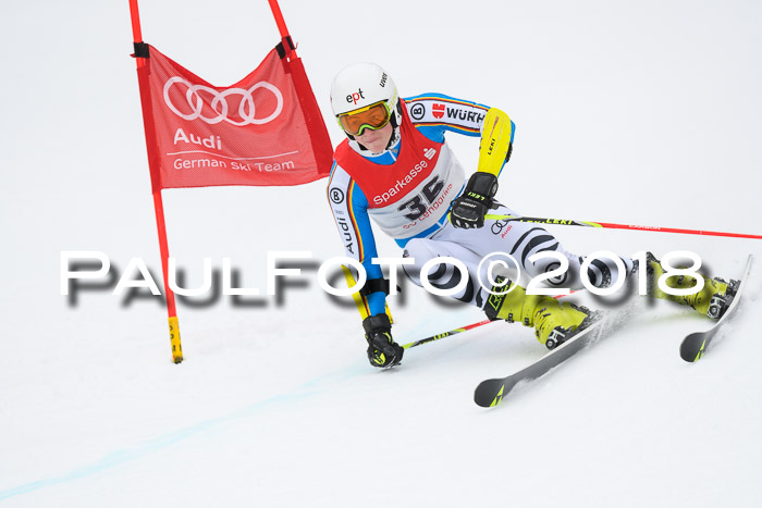 FIS NJR Riesenslalom Herren Lenggries 2.2.2018