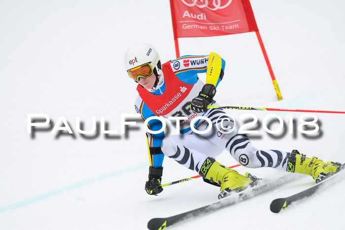 FIS NJR Riesenslalom Herren Lenggries 2.2.2018