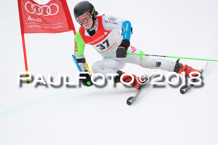 FIS NJR Riesenslalom Herren Lenggries 2.2.2018