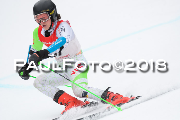 FIS NJR Riesenslalom Herren Lenggries 2.2.2018