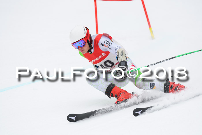 FIS NJR Riesenslalom Herren Lenggries 2.2.2018