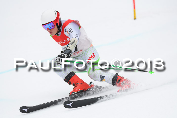 FIS NJR Riesenslalom Herren Lenggries 2.2.2018