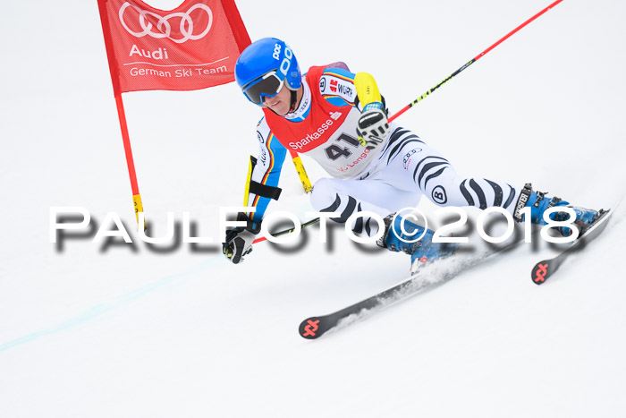 FIS NJR Riesenslalom Herren Lenggries 2.2.2018