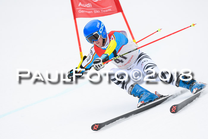 FIS NJR Riesenslalom Herren Lenggries 2.2.2018