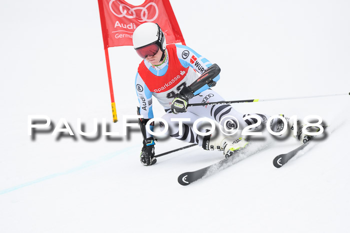 FIS NJR Riesenslalom Herren Lenggries 2.2.2018