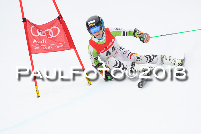 FIS NJR Riesenslalom Herren Lenggries 2.2.2018